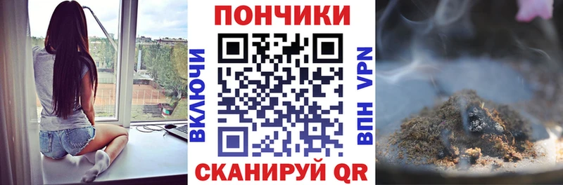 Каннабис индика  как найти закладки  Хасавюрт 